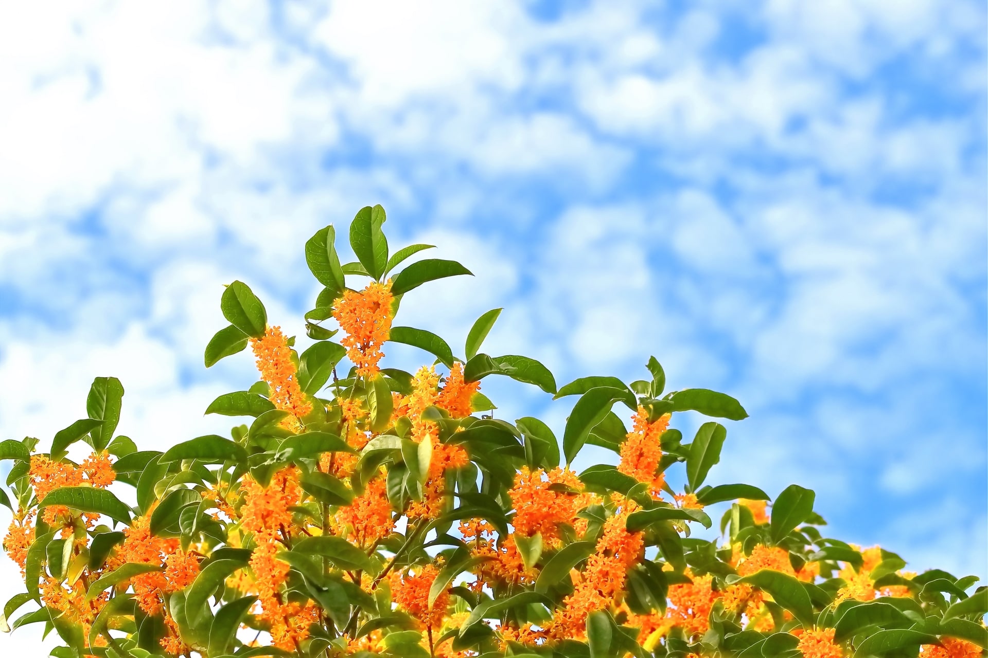 2025年11月の休業日｜行き詰まった時に見てほしい映画『ひゃくえむ。』