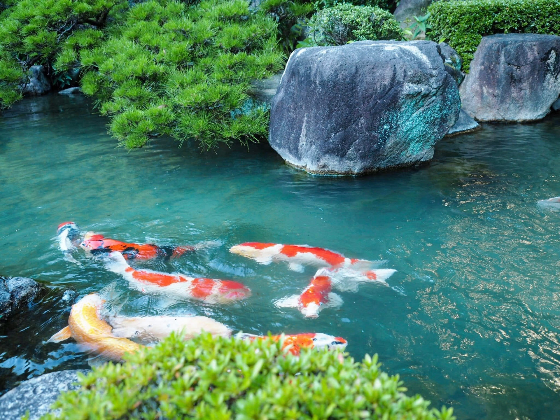 2026年5月のお休み｜充実感はコスパで測れない