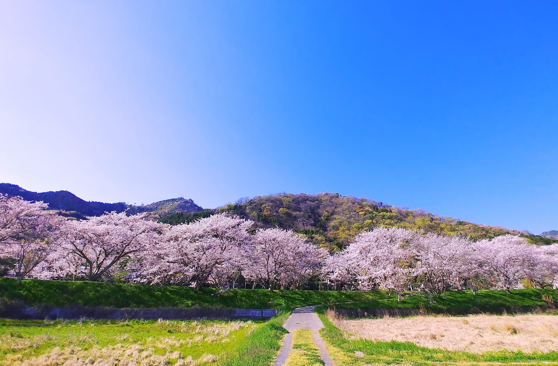 2026年4月のお休み｜健康になる「食べ方」なんてない。でも病気になる「食べ物」はある。